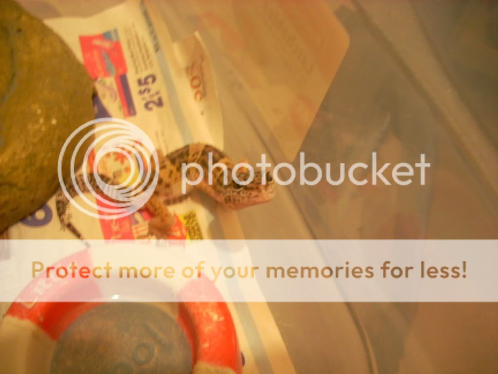 DSCN0193.jpg