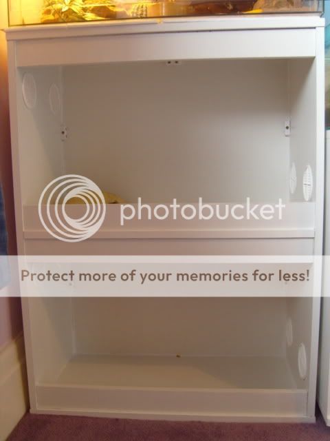 Piccies353.jpg