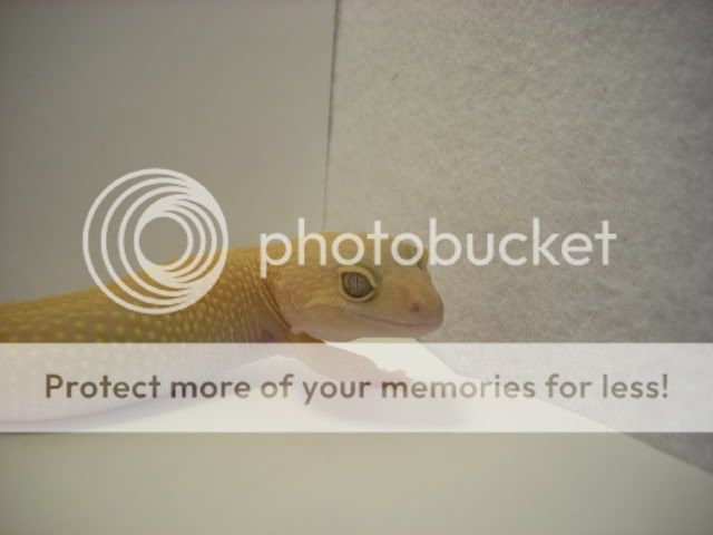 DSCN1336.jpg