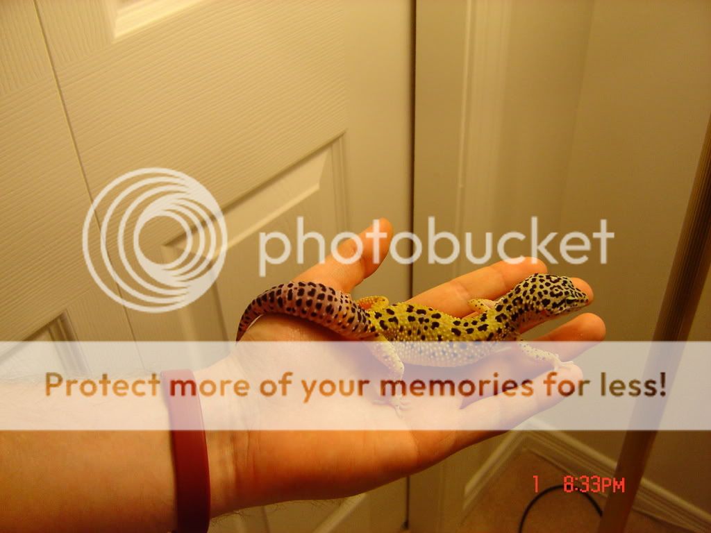 DSC02510.jpg