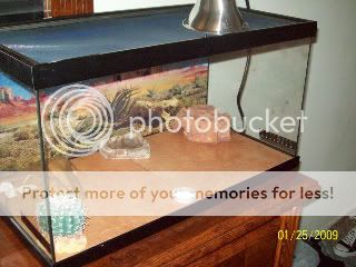 100_1045.jpg