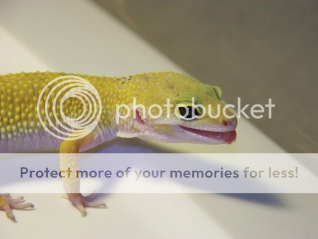 100_2027.jpg