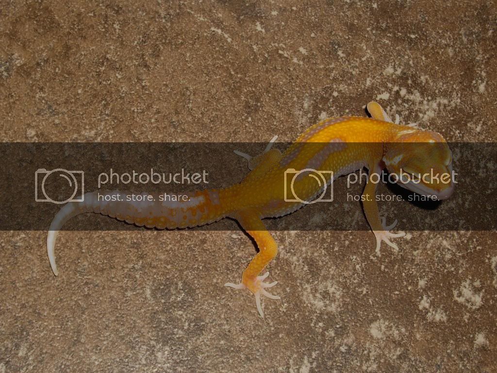 IMGP5739.jpg