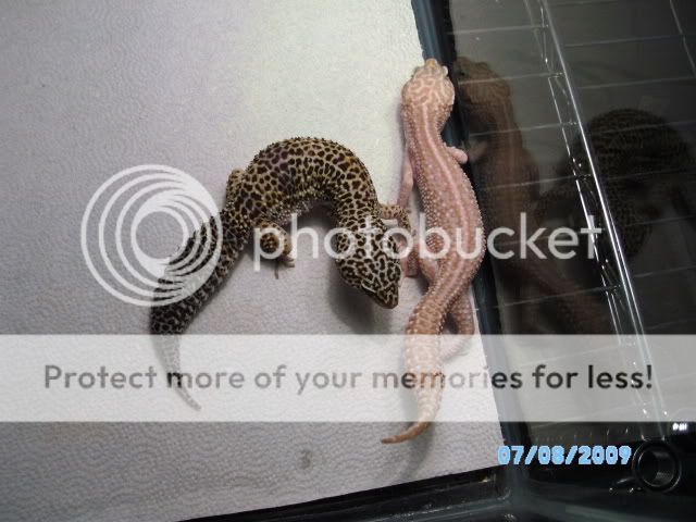 016-2.jpg