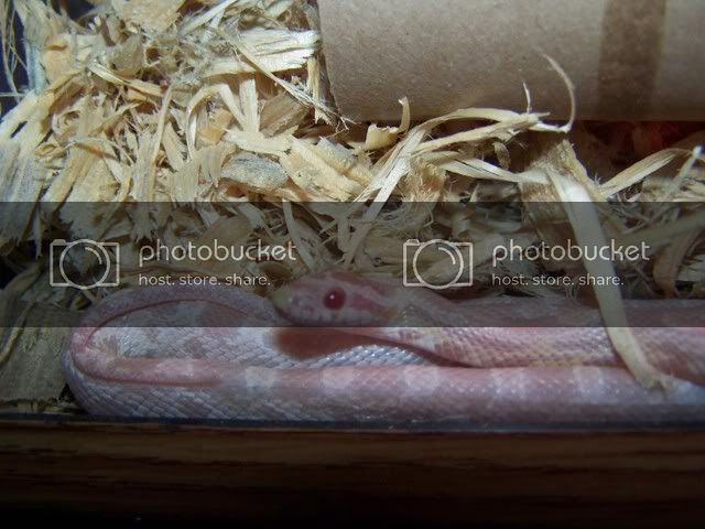 100_3429.jpg