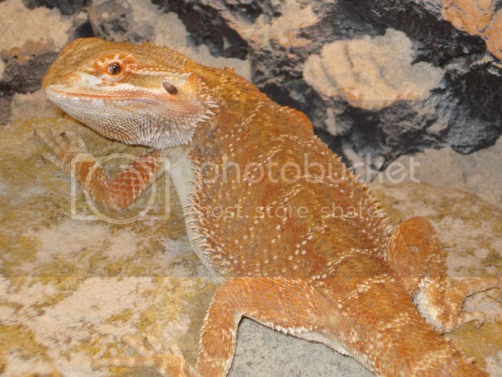 nieuwefoto-bak237.jpg