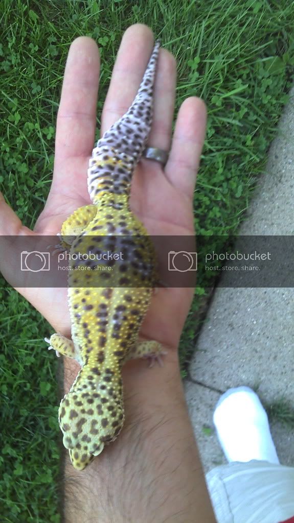 2012-08-19_19-42-36_85.jpg