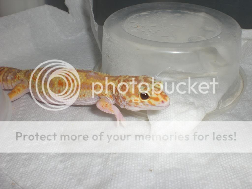 junepix046.jpg