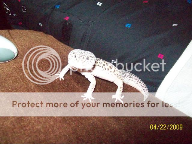 100_1714.jpg