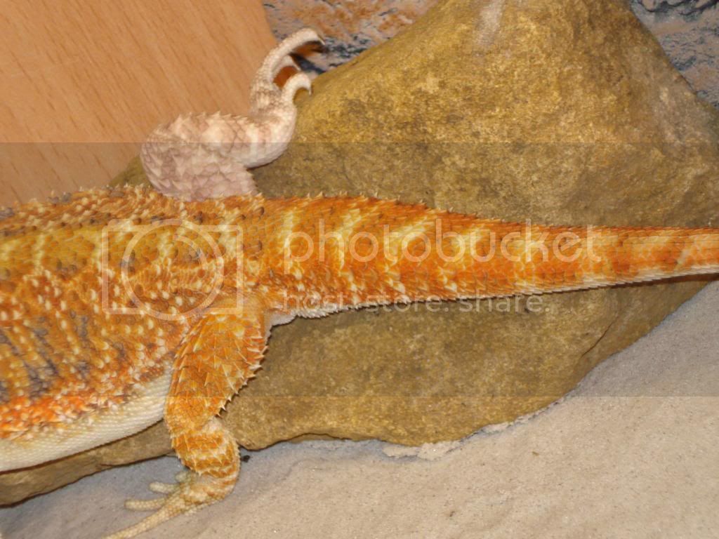 nieuwefoto-bak041.jpg