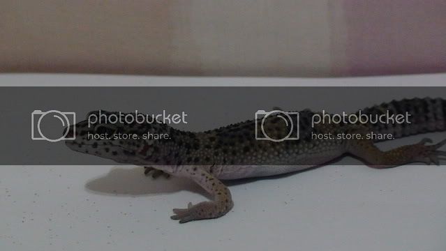 DSC01224.jpg