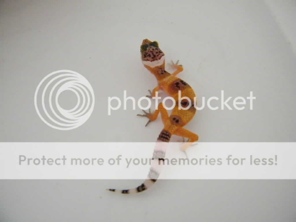 DSCF1862.jpg