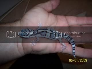 100_2864.jpg