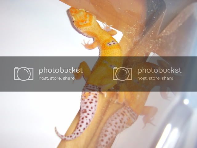 PICT0110.jpg