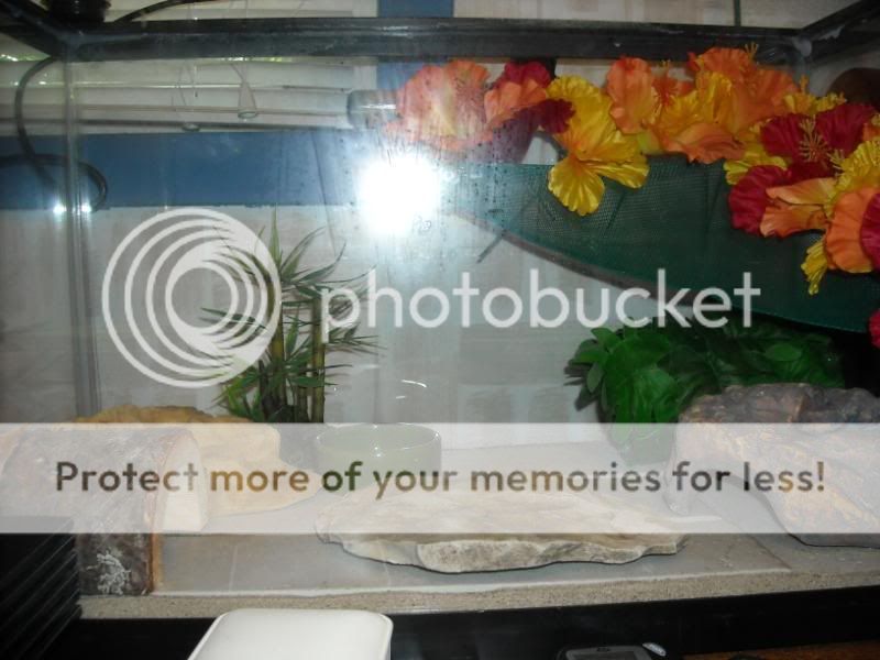 DSCN0468.jpg