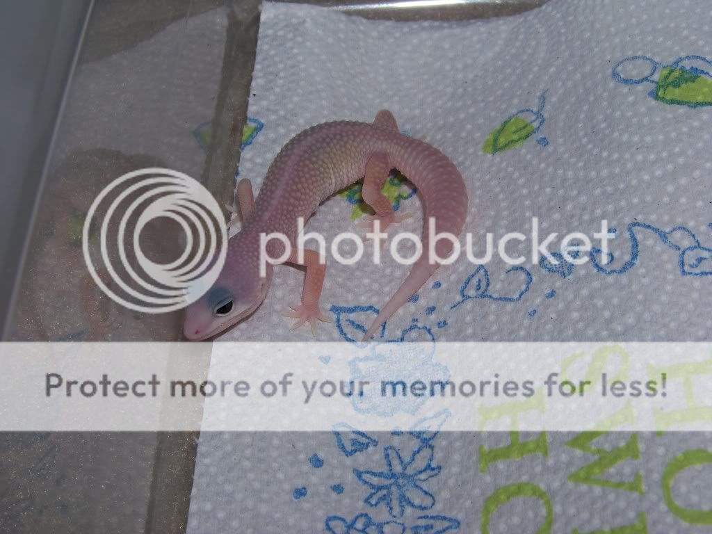 Babyupdates5-10-09009.jpg
