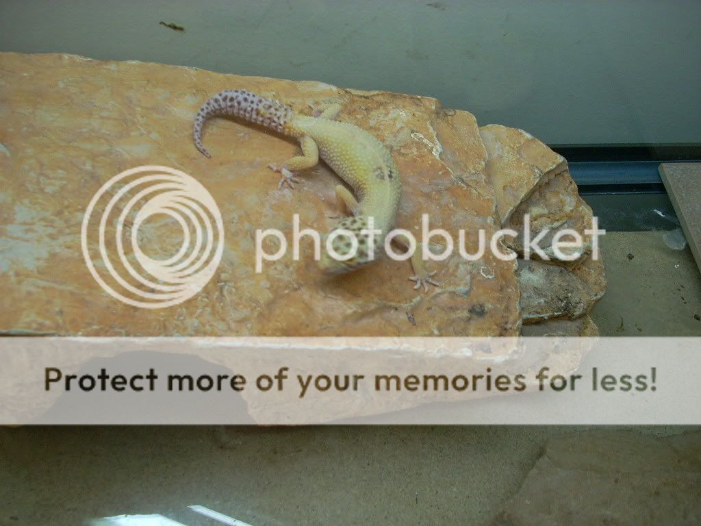 DSCN0122.jpg