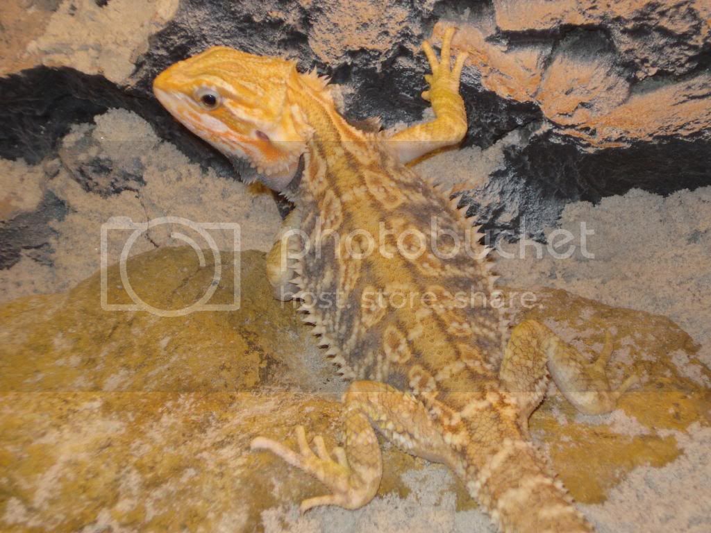 nieuwefoto-bak107.jpg