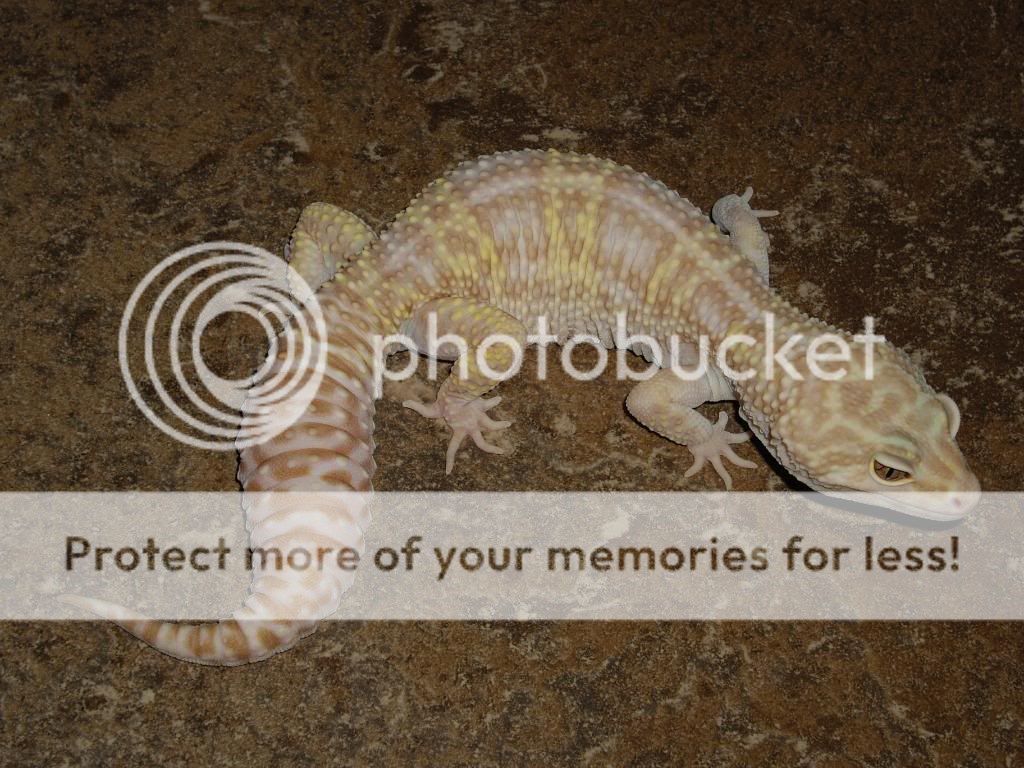 IMGP6341.jpg