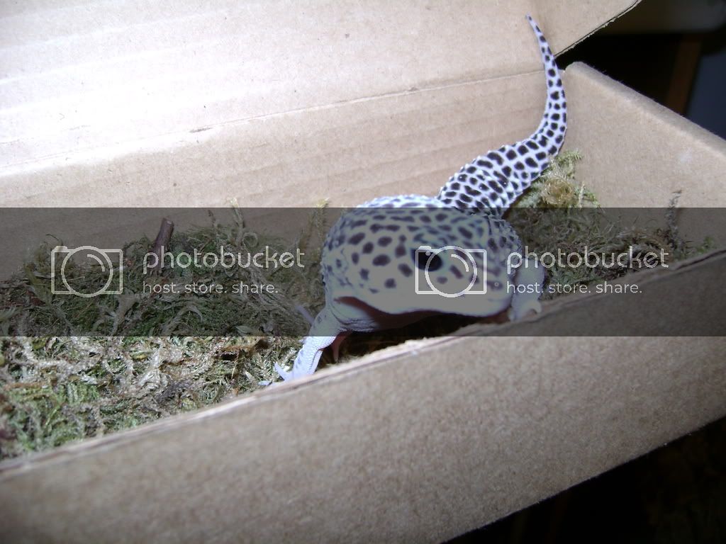 DSC01050.jpg
