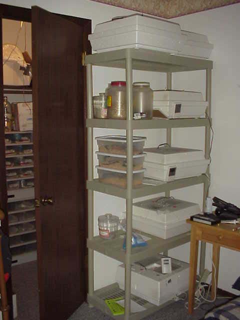 7incubatorracks.jpg