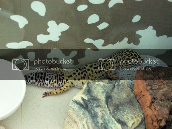 061016_marlysleeping.jpg