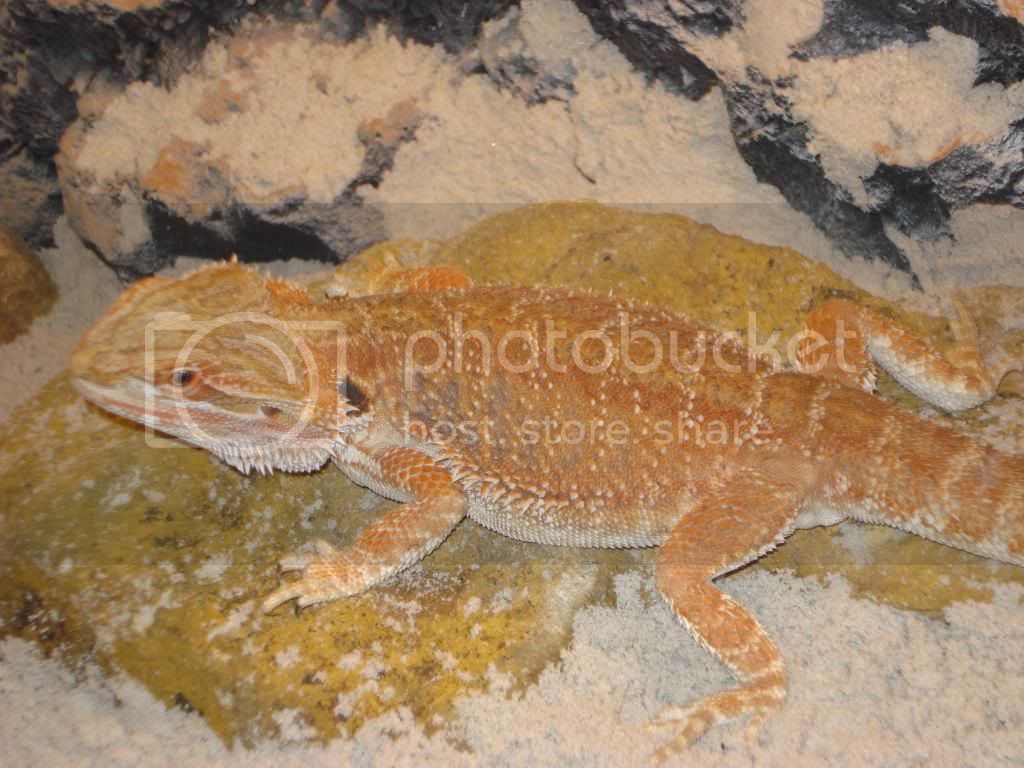 nieuwefoto-bak094.jpg