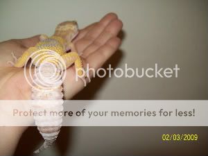 100_1076.jpg
