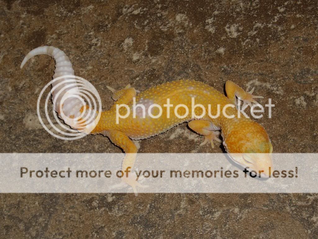 IMGP6392.jpg