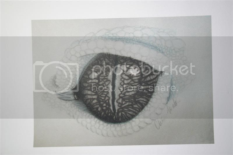 EyeArt.jpg