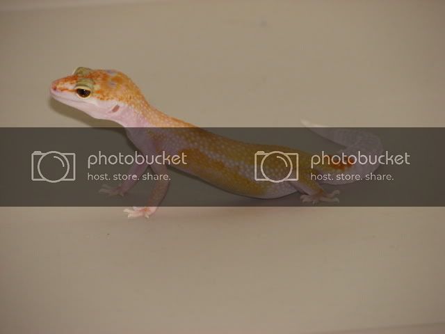 img_4852.jpg