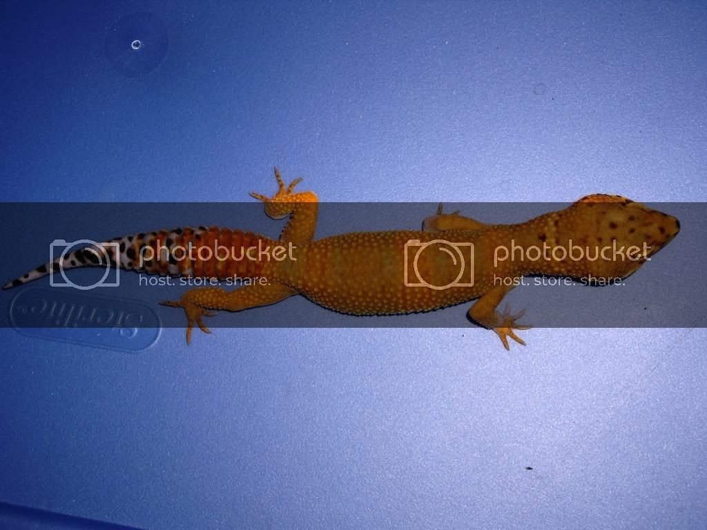 new012.jpg