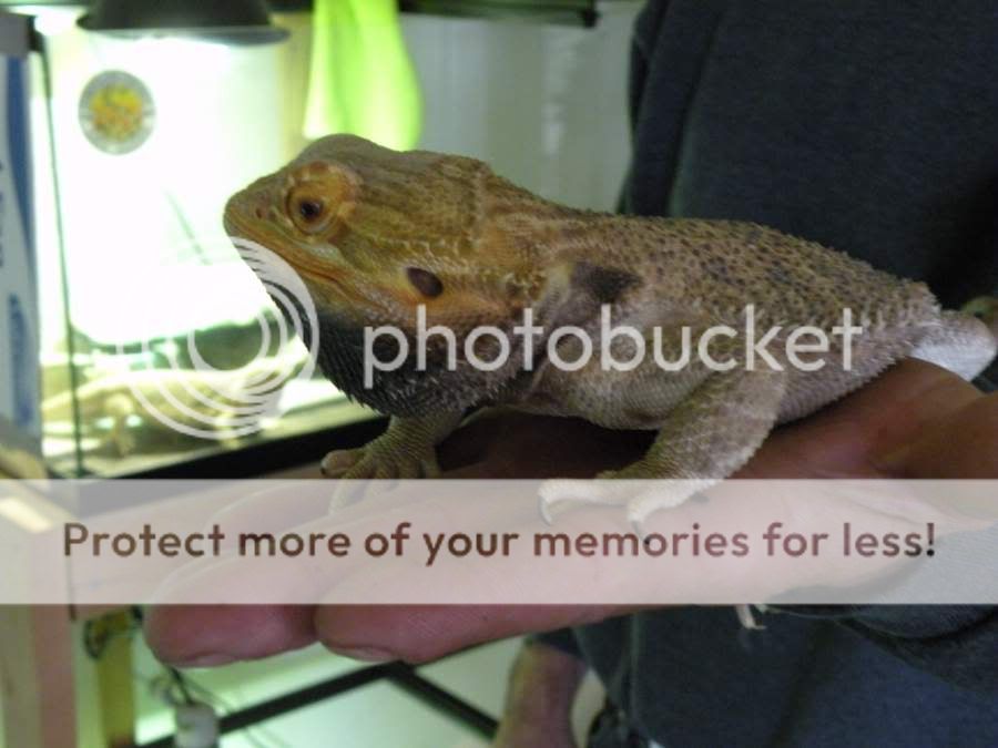 DSCN1420.jpg