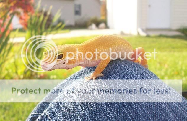 resize9.jpg