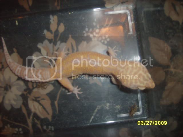 Picture515.jpg