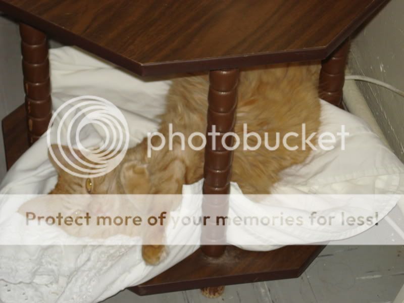 Picture113.jpg