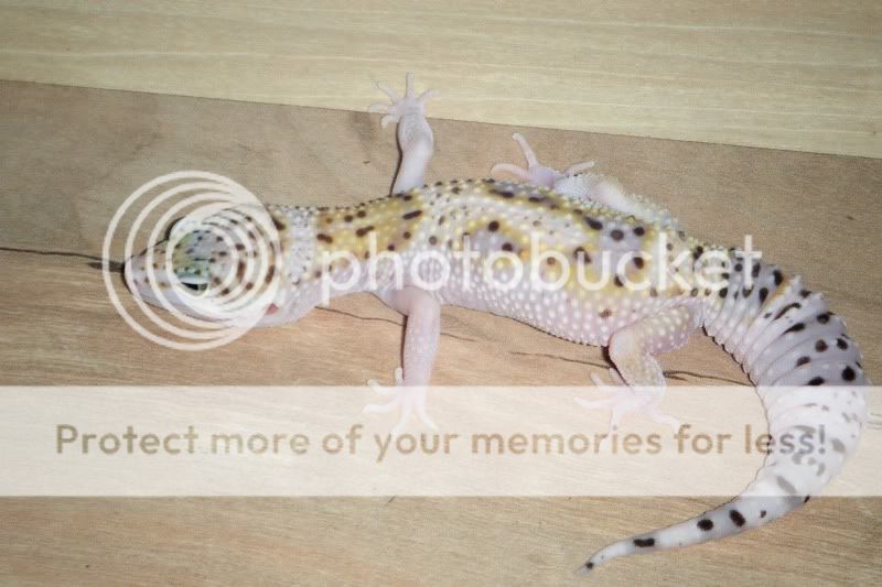 DSCF1643.jpg