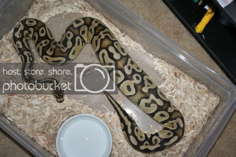 006-25.jpg