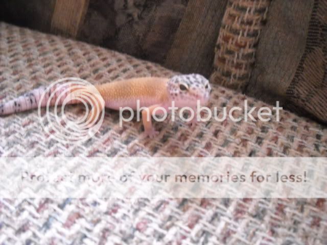 DSCN6903.jpg