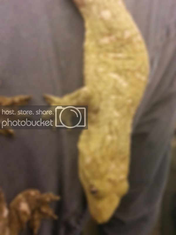 20130407_212919_zpsb1945c2d.jpg