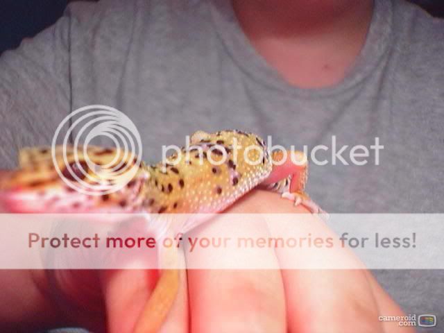 snapshot.jpg