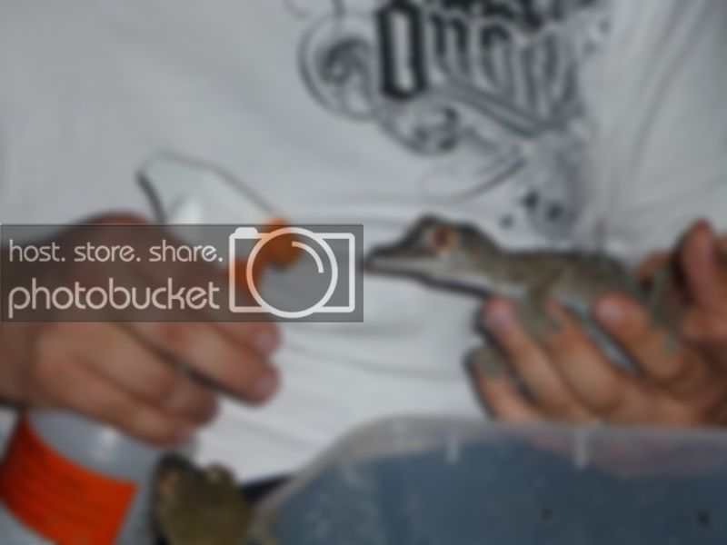 P1010990.jpg