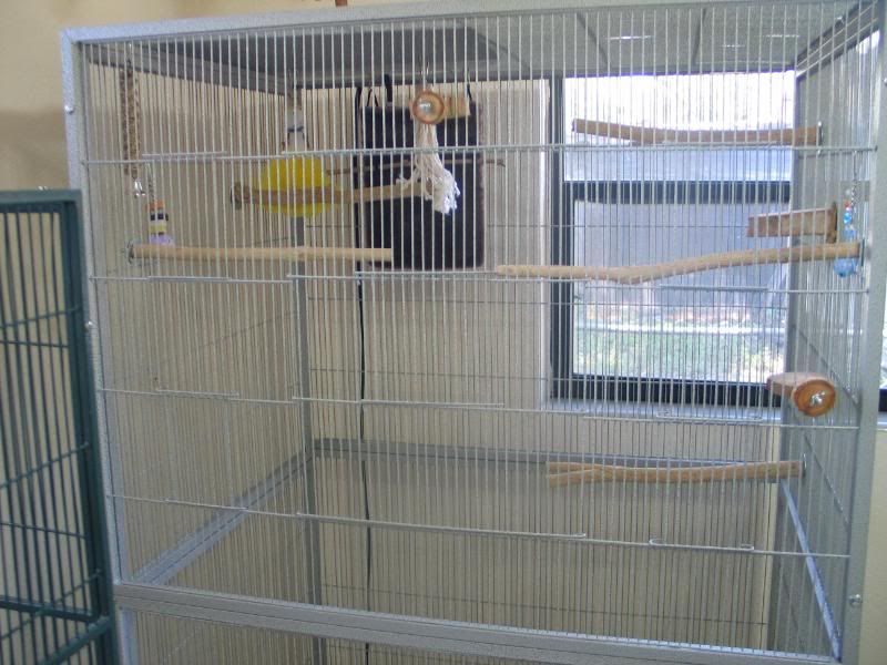 gryphonsnewcage42710002.jpg