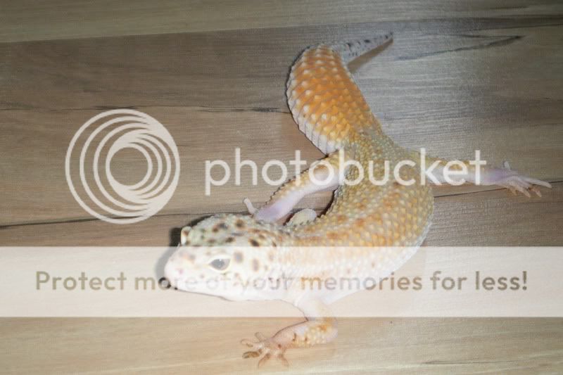 DSCF1624.jpg
