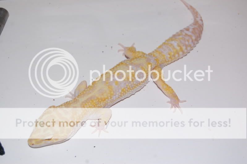 DSC_0736.jpg