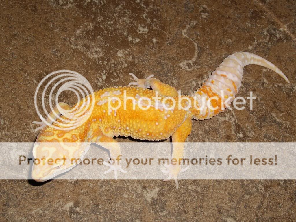 IMGP5914.jpg