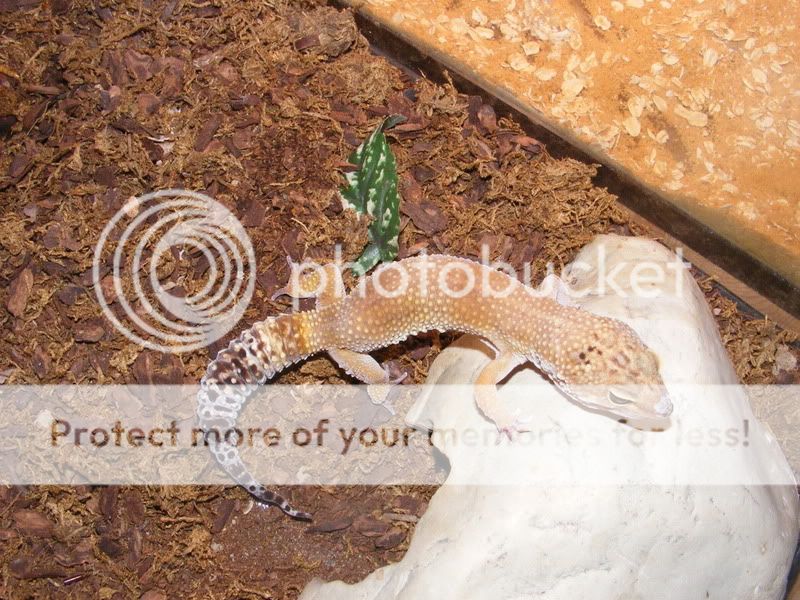 DSCF8860.jpg
