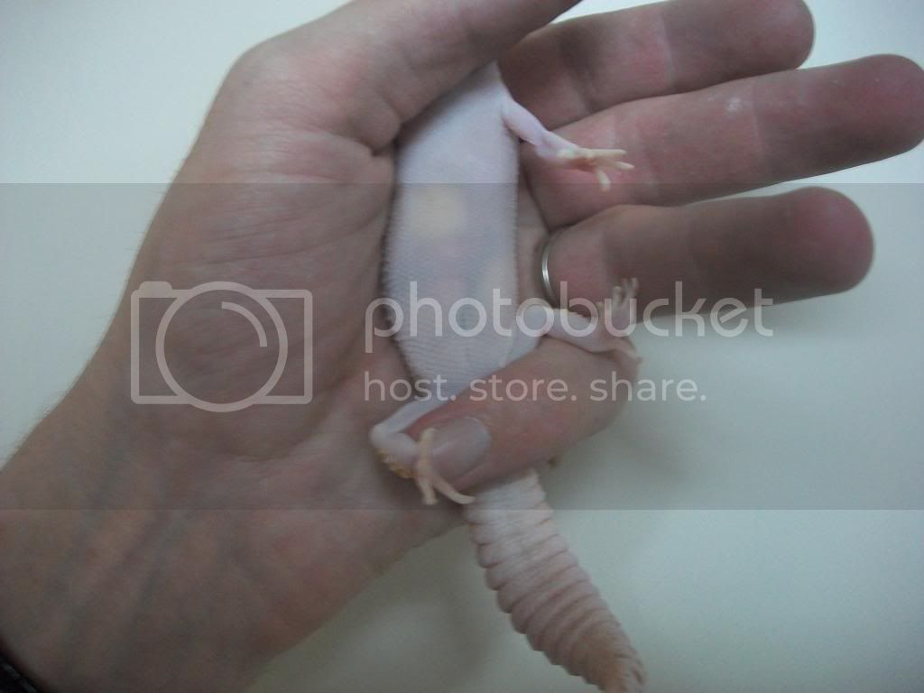 100_2530.jpg
