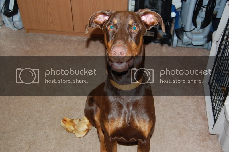 DSC_0923.jpg