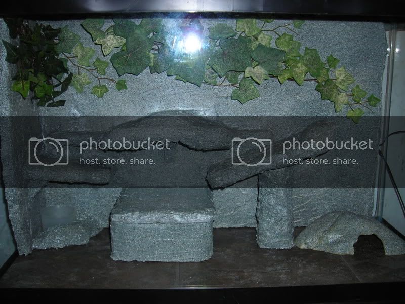 DSCN1083.jpg